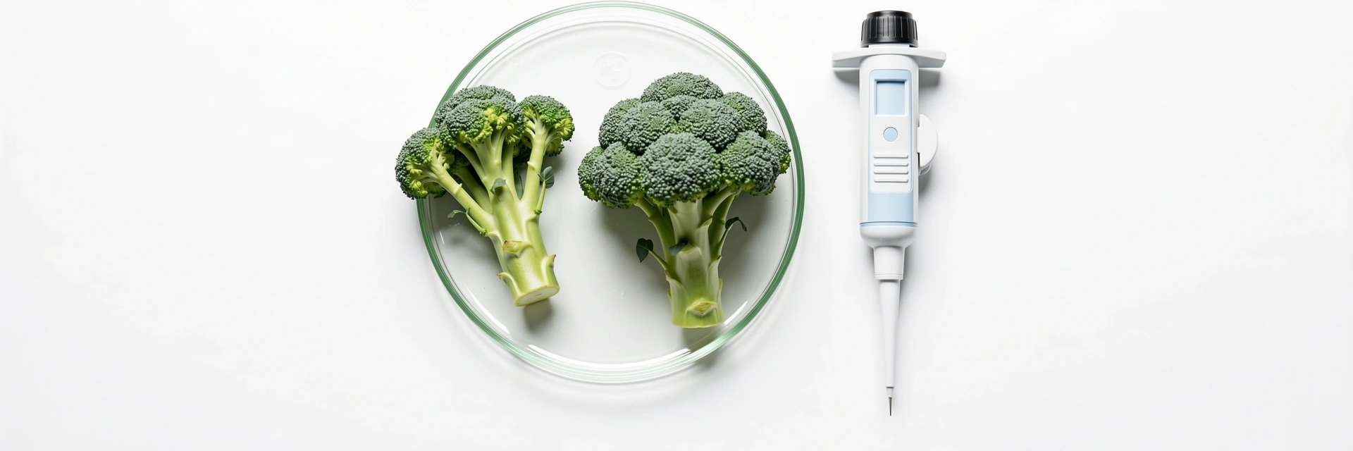 Wissenschaftliche Analyse von Lebensmitteln